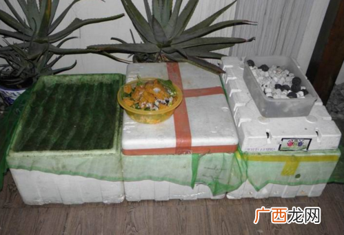 集装箱养殖 木箱养殖