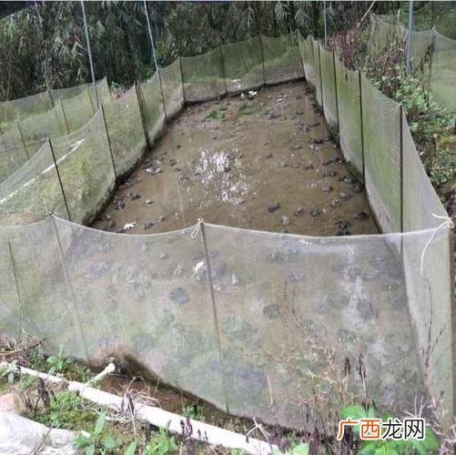 集装箱养殖 木箱养殖