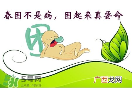 春困需要吃药吗?春困吃什么药好?