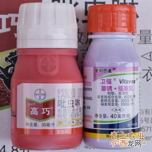 三目蛴 蛴糟的养殖