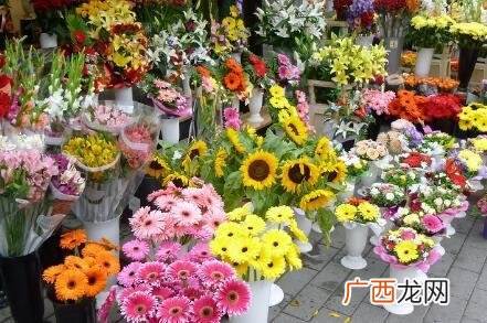 开一个花店需要多少钱,开个花店怎么样-