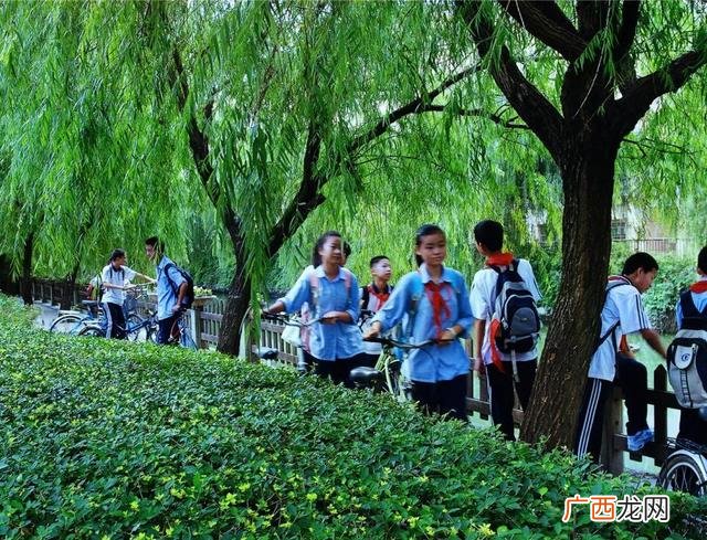 儿童乐园优秀案例 儿童乐园200平案例