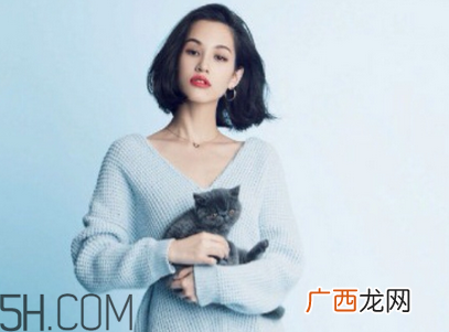 雪花秀和兰芝哪个好用？雪花秀在韩国属于什么档次？