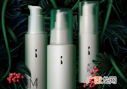 国货药妆护肤品哪个牌子好？素野护肤品孕妇能用吗？