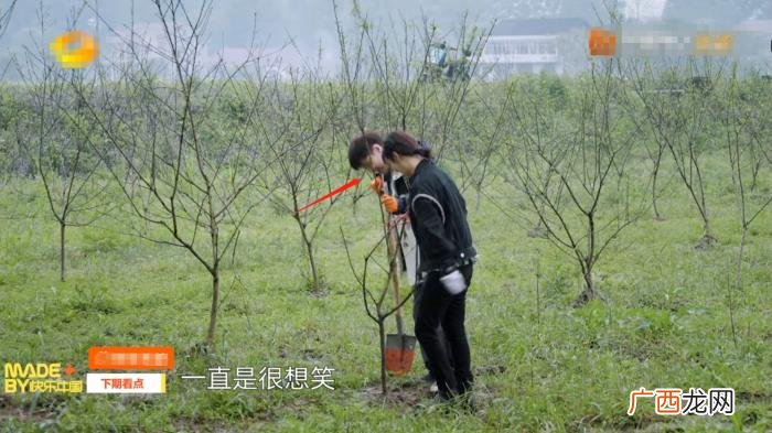 张艺兴最新恋情，杨紫张艺兴恋情添锤