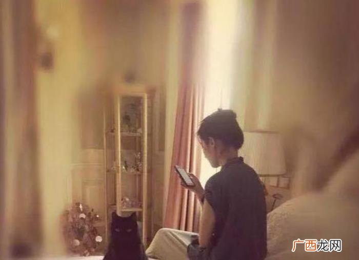 刘亦菲家在哪，来看看刘亦菲生活中的家