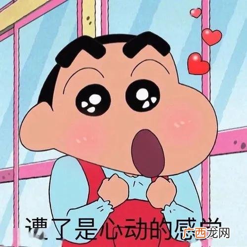 少儿频道动画片大全 中国00后动画片