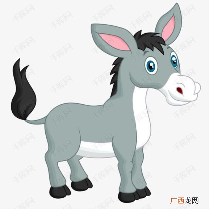 驴影子到底是谁的 影子到底是谁