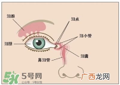 洗眼液洗出的脏东西是什么洗眼液洗出白色絮状物是寄生虫吗