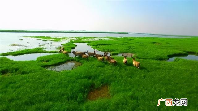地级市综合实力排名,中国综合指数最高城市