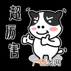 地级市综合实力排名,中国综合指数最高城市