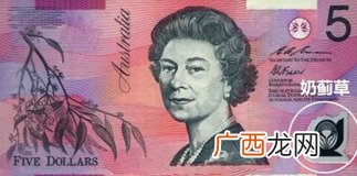 Swisse真假辨别swisse保健品怎么吃