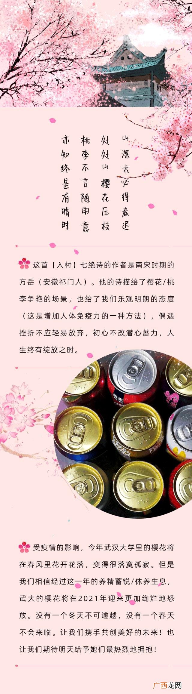 啤酒易拉罐多少钱一斤,啤酒易拉罐厂家招代理