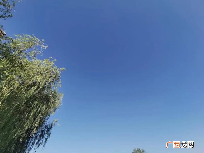 ——让母亲更年轻漂亮 年轻漂亮的母亲
