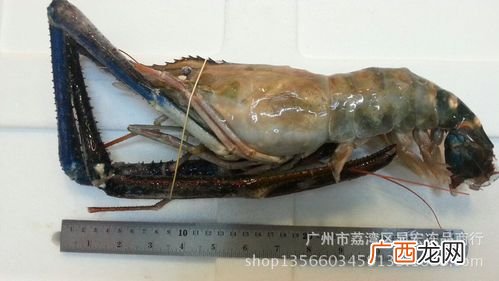 水产养殖解毒用什么好 水产养殖解毒剂