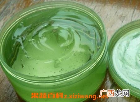 芦荟胶的功效与作用 芦荟胶的药用价值