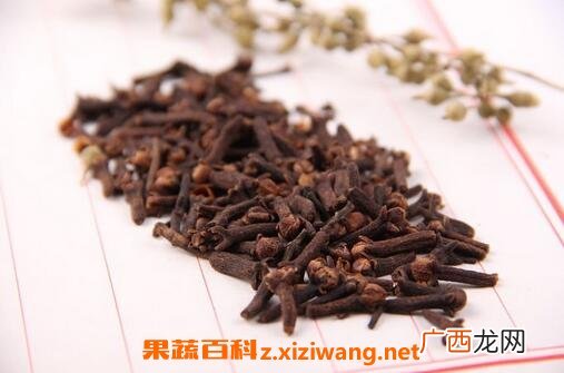 丁香香料的养殖方法与注意事项