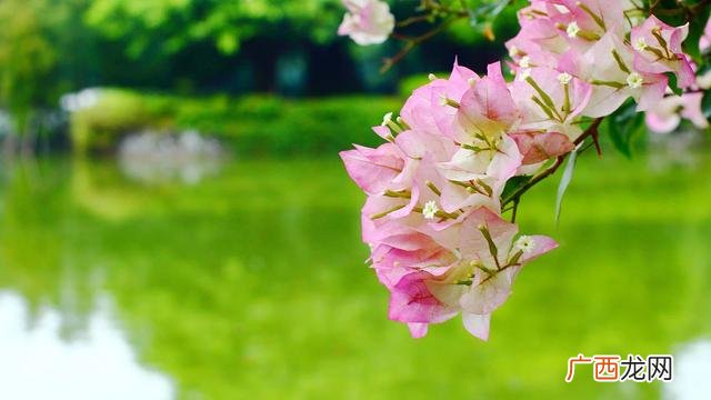 宝妈在家带孩子如何赚钱 适合带娃做的小生意