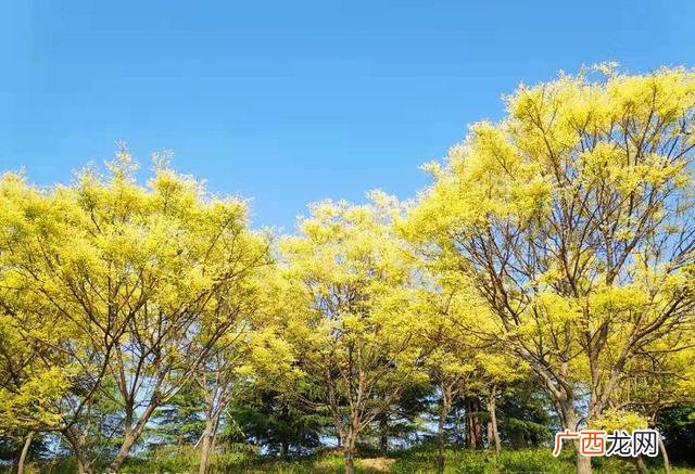 宝妈在家带孩子如何赚钱 适合带娃做的小生意