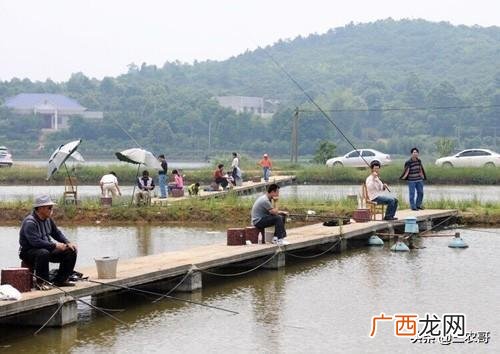 没人注意的暴利行业,东北乡镇适合做什么生意