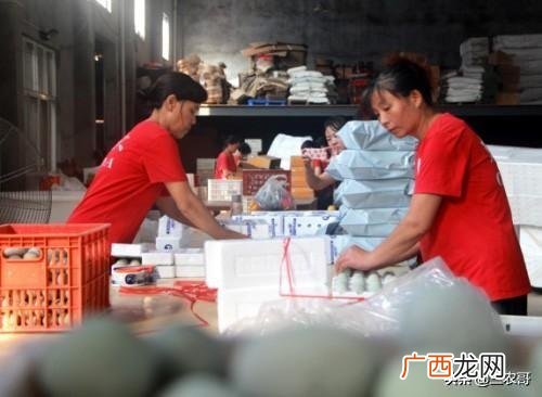 没人注意的暴利行业,东北乡镇适合做什么生意