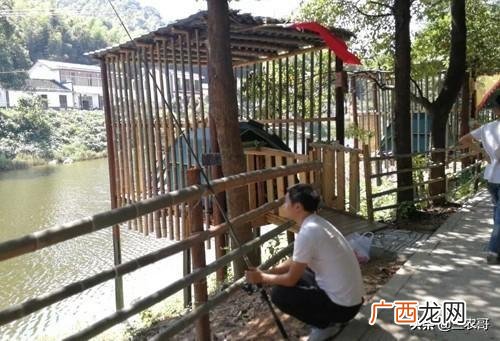 没人注意的暴利行业,东北乡镇适合做什么生意