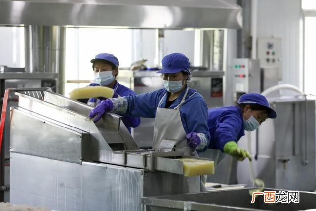 魔芋豆腐设备视频,全自动加工魔芋豆腐设备膨化罐