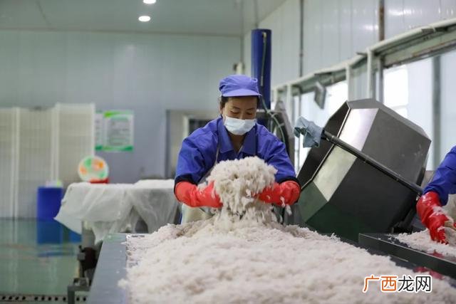 魔芋豆腐设备视频,全自动加工魔芋豆腐设备膨化罐