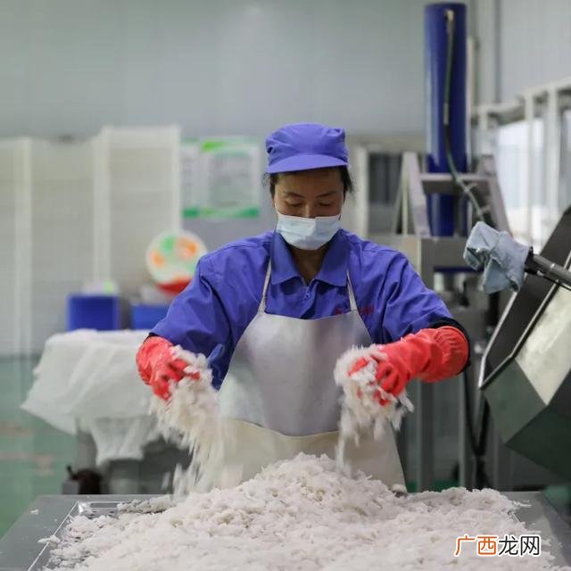 魔芋豆腐设备视频,全自动加工魔芋豆腐设备膨化罐
