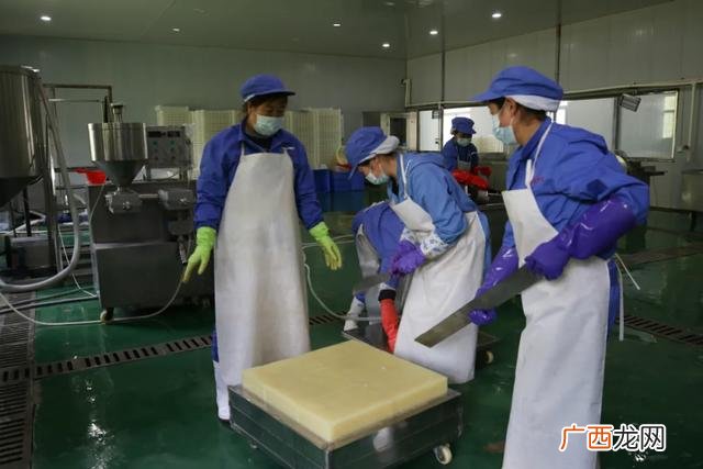 魔芋豆腐设备视频,全自动加工魔芋豆腐设备膨化罐
