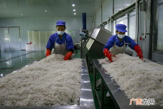 魔芋豆腐设备视频,全自动加工魔芋豆腐设备膨化罐