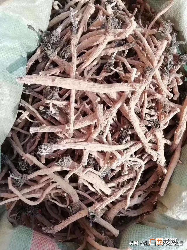六月份能种什么农作物 六七月份适合种植的药材