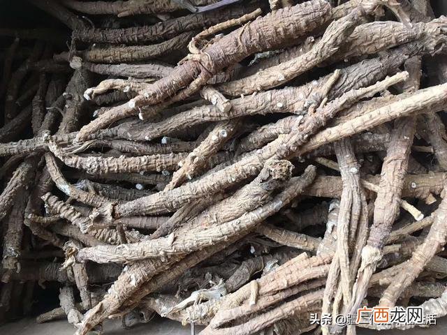 六月份能种什么农作物 六七月份适合种植的药材