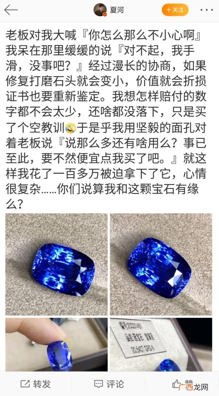吃瓜|网红夏河回怼粉丝 夏河和洛洛