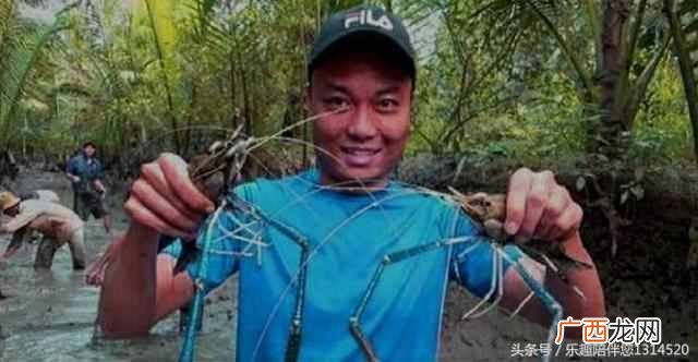 长腿大虾的做法大全 长腿虾是什么虾