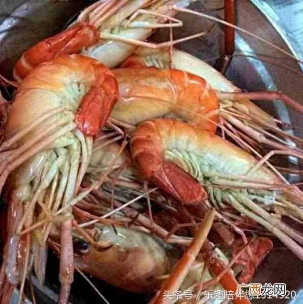 长腿大虾的做法大全 长腿虾是什么虾