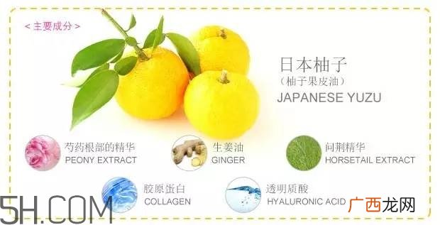 日本柚子卸妆啫喱真假鉴别 nursery柚子卸妆啫喱好用吗
