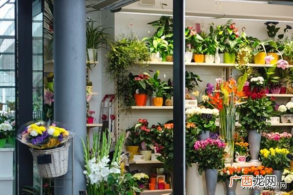 女大学生适合开什么店 大学生适合开什么店面