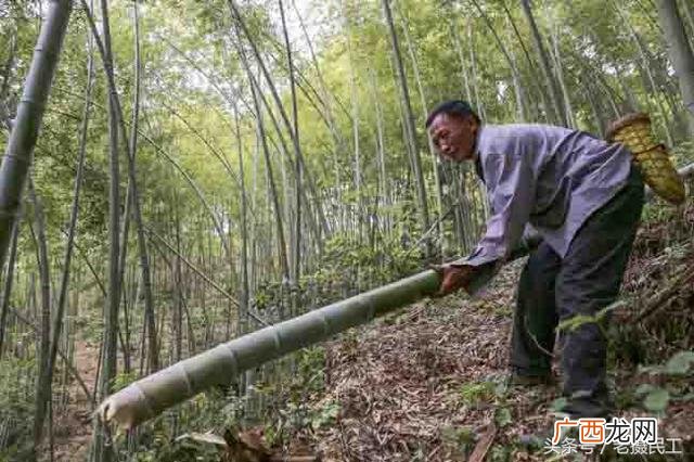 火纸批发多少钱一吨 烧纸加盟办厂