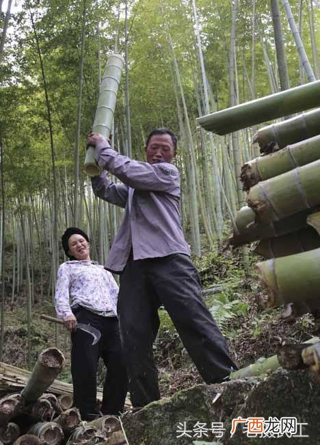 火纸批发多少钱一吨 烧纸加盟办厂