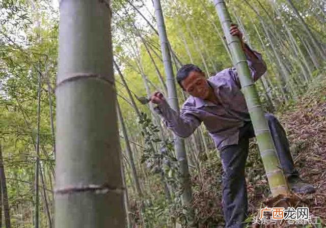 火纸批发多少钱一吨 烧纸加盟办厂