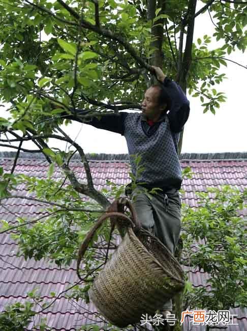 火纸批发多少钱一吨 烧纸加盟办厂