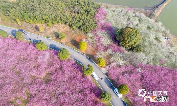 一组图带你看祖国大地春意盎然 春意盎然图片