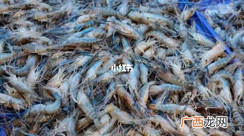 菜场卖虾水里加什么 养殖虾菜场有卖不