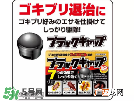 日本蟑螂药好用吗？日本蟑螂药效果评测