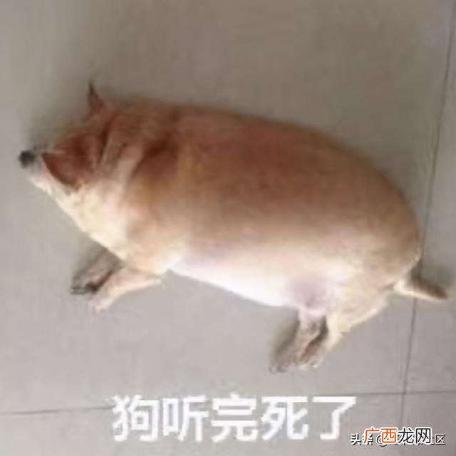 00后网上赚钱的平台,00后干什么赚钱多