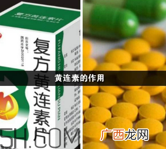 黄连素能降血糖吗？黄连素能经常吃吗？