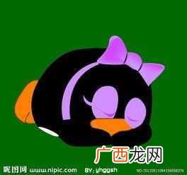 详细教您怎么删除qq宠物 怎么卸载qq宠物