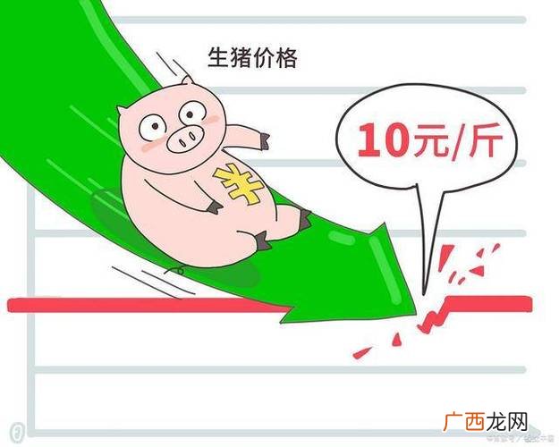 鸵鸟养殖成本利润 一只猪的养殖成本多少