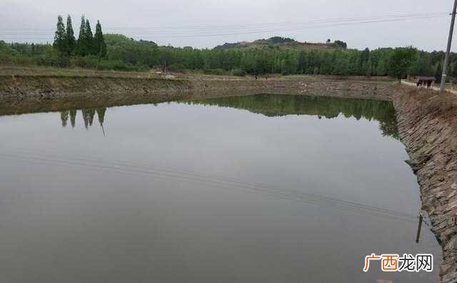 养鱼的利润与成本 鱼塘养殖利润有多少